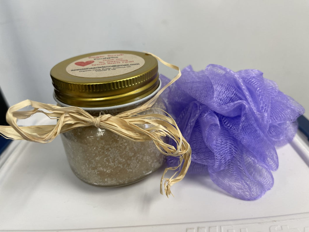 Sugar Scrub w/Loofah